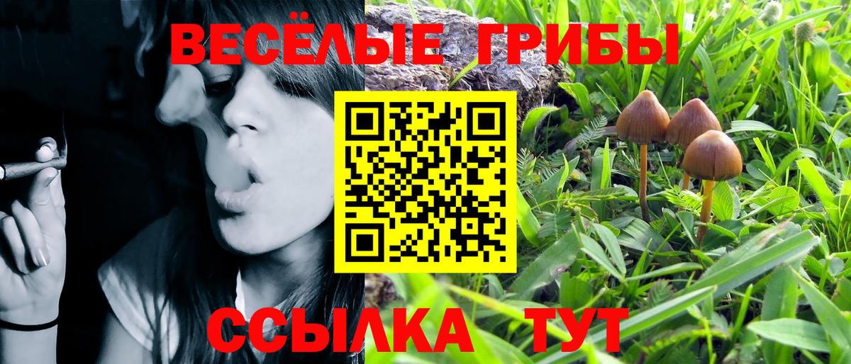 Псилоцибиновые грибы Cubensis  Вход с VPN  наркота  Шахты 