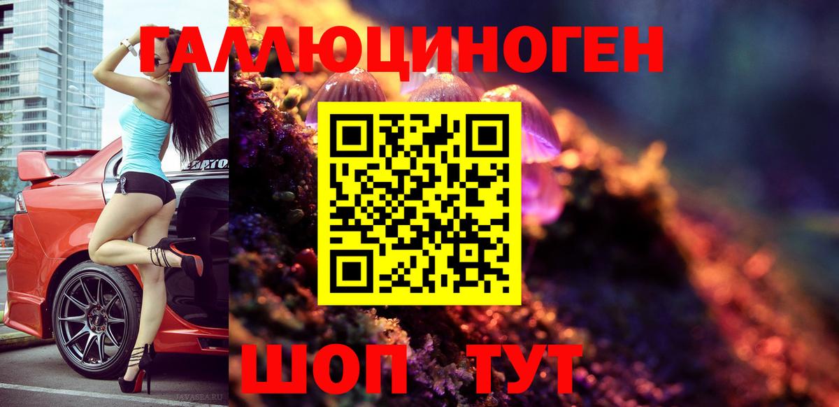 Псилоцибиновые грибы мухоморы Шахты